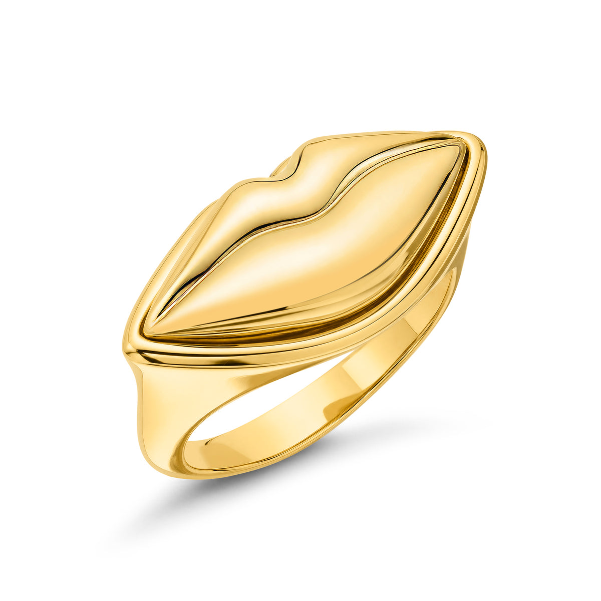 Gold Lip Ring