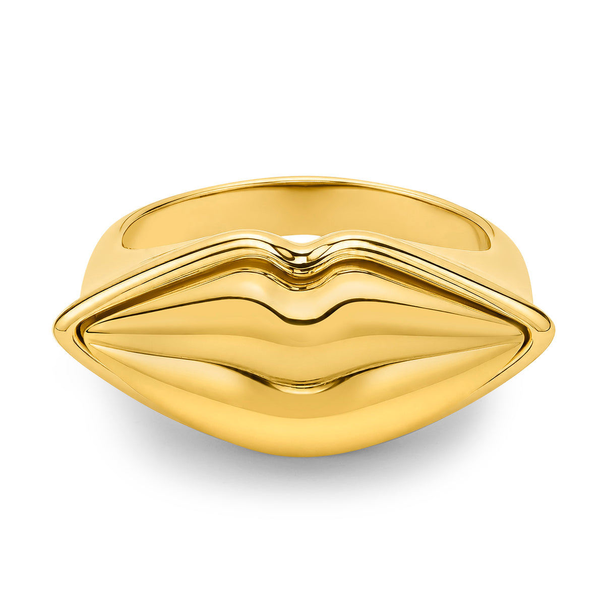 Gold Lip Ring